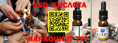 мдпв Камышлов