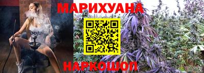 мдпв Камышлов