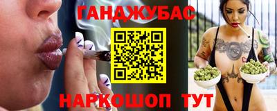 мдпв Камышлов