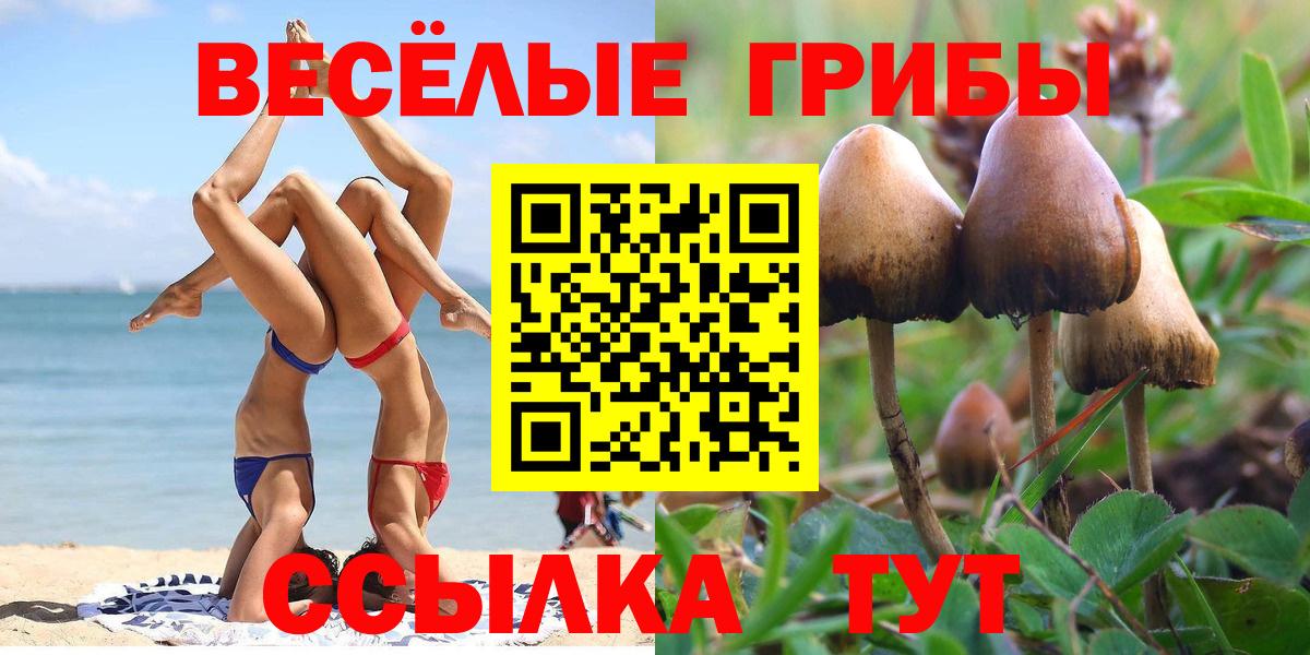 Галлюциногенные грибы MAGIC MUSHROOMS Курчалой