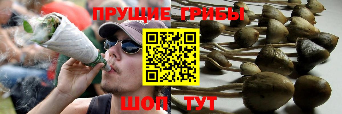 Галлюциногенные грибы прущие грибы  Вход с VPN  Курчалой 