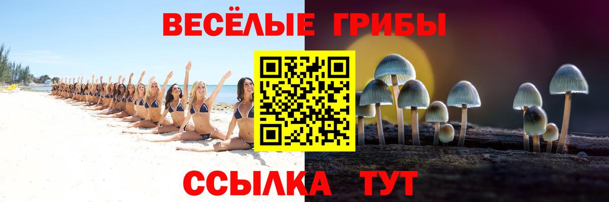 Амфетамин Курчалой